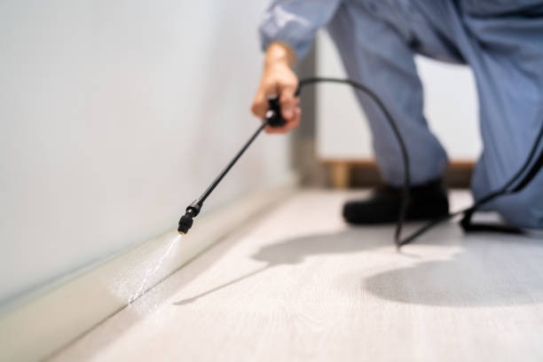 Licensed Ant Control service in Dupont, PA - Show Me Pest Control